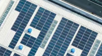 عندما تحتضن العمارة